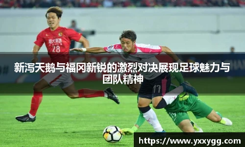 BG大游