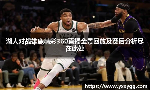 湖人对战雄鹿精彩360直播全景回放及赛后分析尽在此处